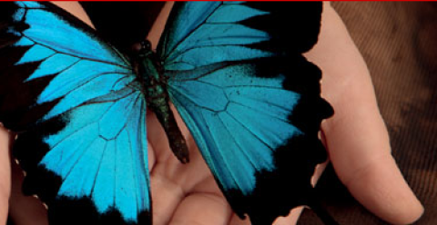 Forum della Non Autosufficienza: parliamo di Centri di Incontro  