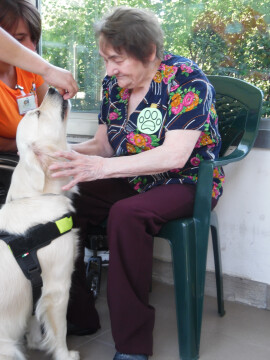 Grande partecipazione all'evento conclusivo del progetto "Comunicane: diversi pianeti stesso mondo"