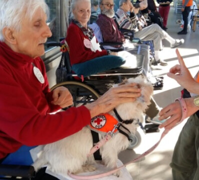 Lunedì 12 febbraio l'incontro pubblico per la conclusione del progetto di Pet Therapy “Inter-specie”