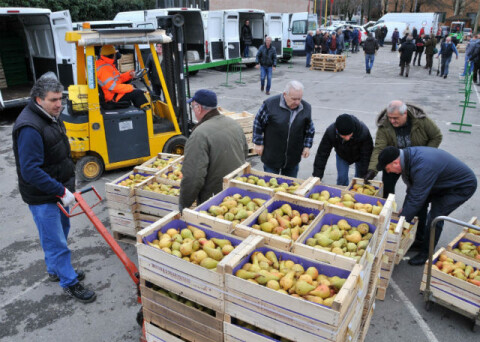 Distribuzione delle eccedenze ortofrutticole a favore di persone bisognose: presentazione delle attività svolte 
