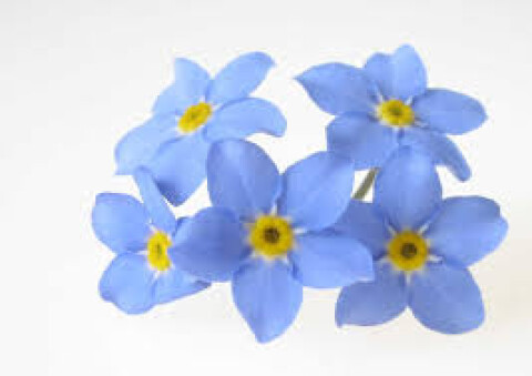 Un caffè nontiscordardime......