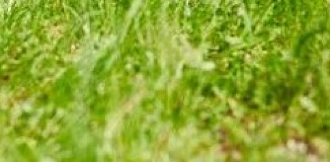 Inaugurazione del Giardino Alzheimer al Centro Servizi Giovanni XXIII