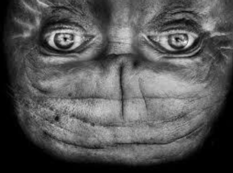 Laboratorio gratuito di teatro e maschere all'Happy Center Bolognina