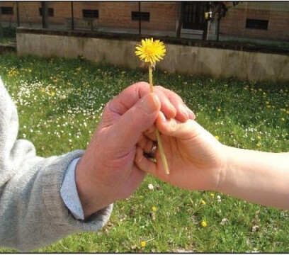 Progetto “Teniamoci per mano”: i risultati del 2016