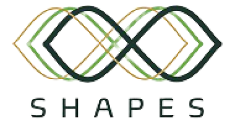 SHAPES - Smart and Healthy Ageing through People Engaging in Supportive Systems