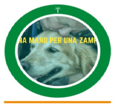 Una mano per una zampa: online la prima campagna di crowdfunding di ASP Città di Bologna