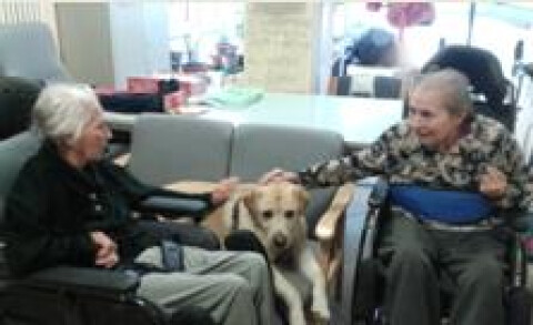 Si è concluso il progetto di animazione "Qua la zampa"