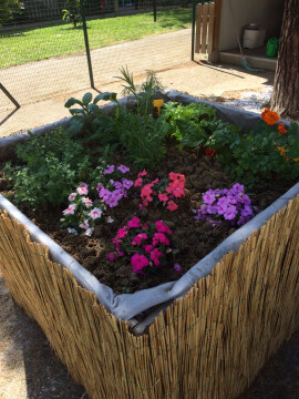 Inaugurato il progetto "L'aroma in Viale Roma"