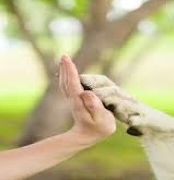 Adolescenti e anziani insieme: un progetto intergenerazionale 