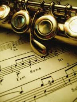  Concerto di musica classica.. nelle strutture!