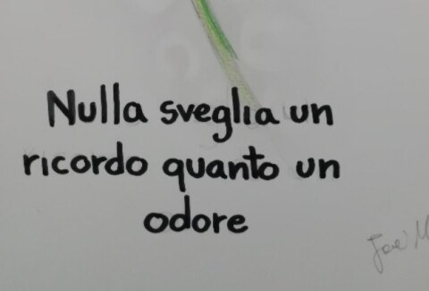 Un nuovo percorso sensoriale nel giardino della CRA Saliceto